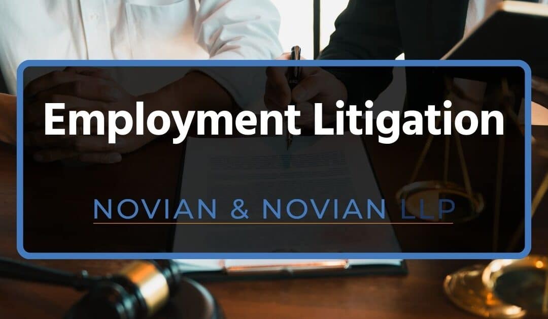 Employment Litigation