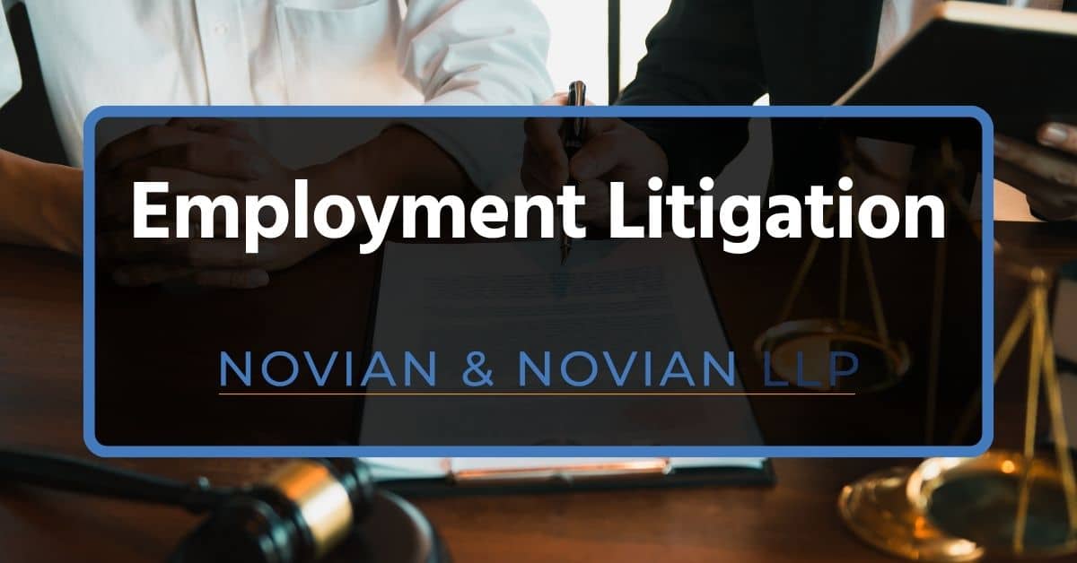 Employment Litigation