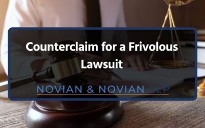 Counterclaim for a Frivolous Lawsuit
