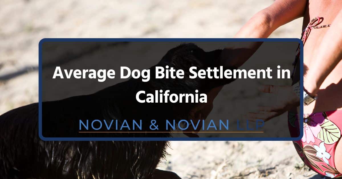 Average Dog Bite Settlement in California