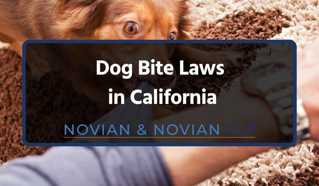 Dog Bite Laws in California