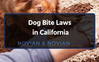 Dog Bite Laws in California