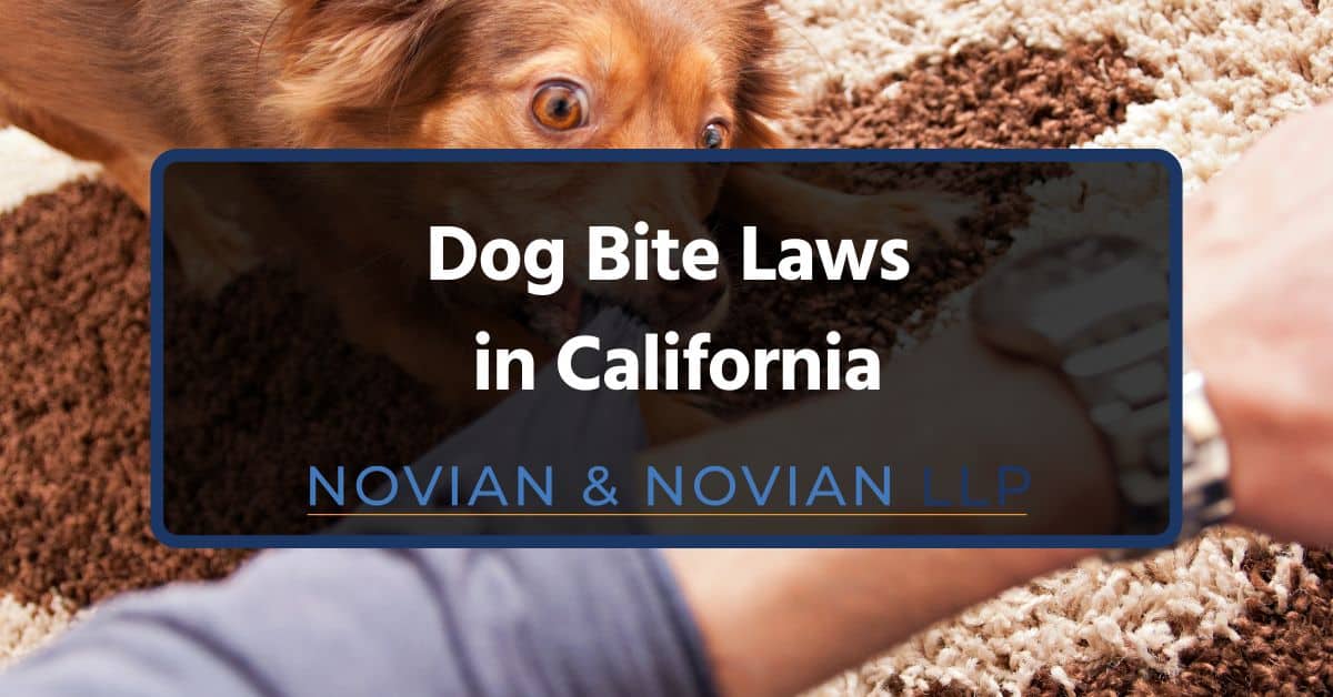 Dog Bite Laws in California