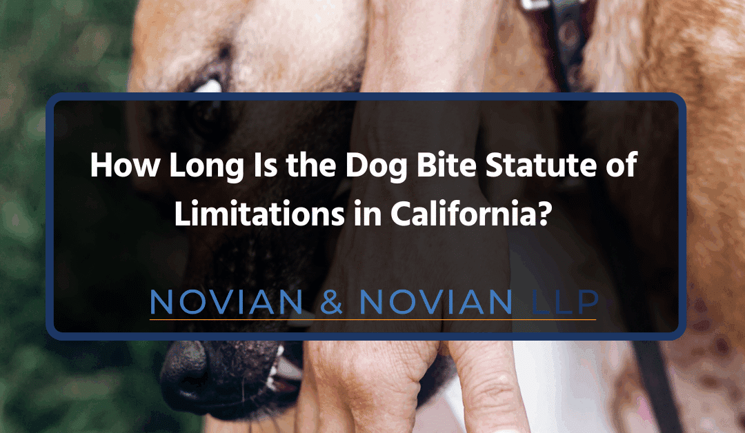 How Long Is the Dog Bite Statute of Limitations in California?